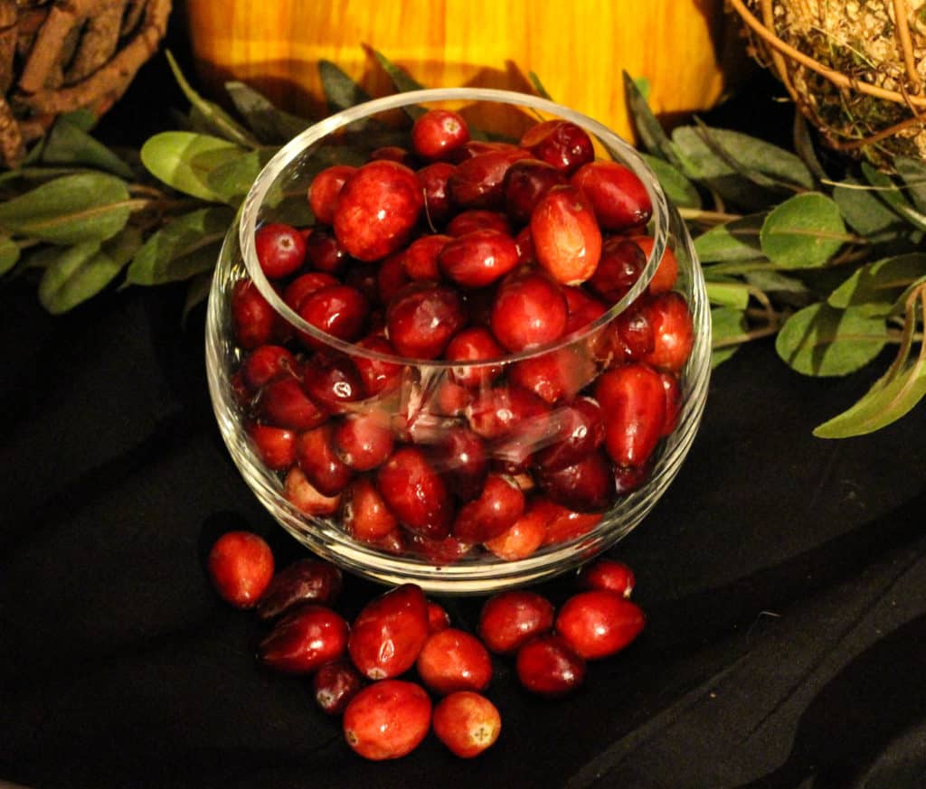 Fresh Cranberries